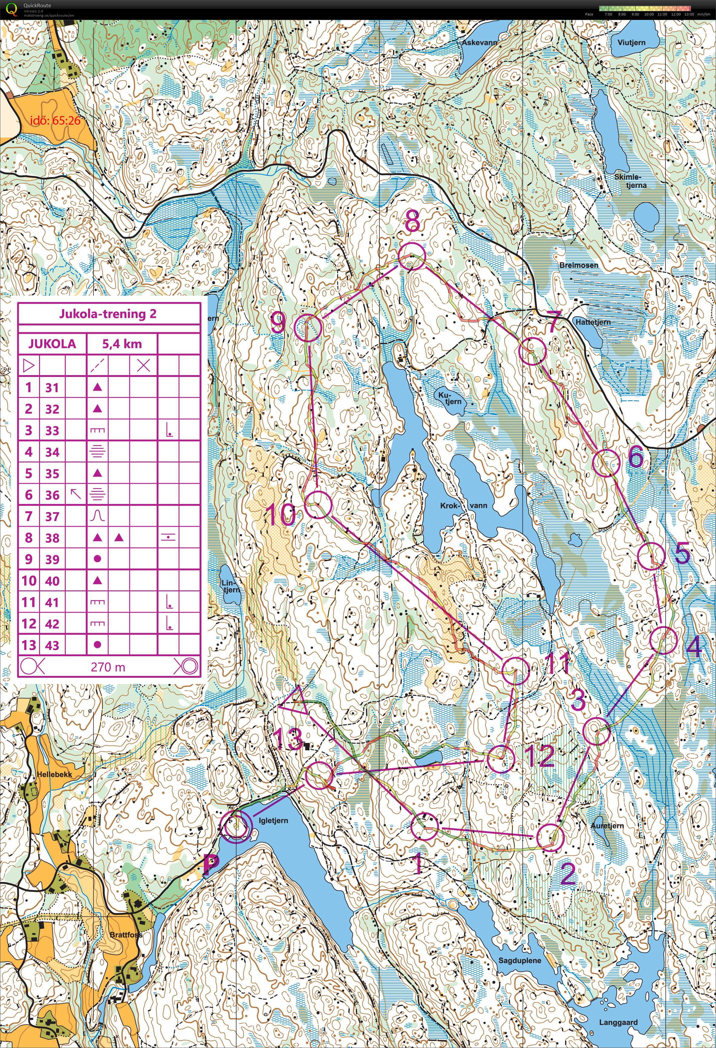 Jukola-trening 2 (18.05.2024)