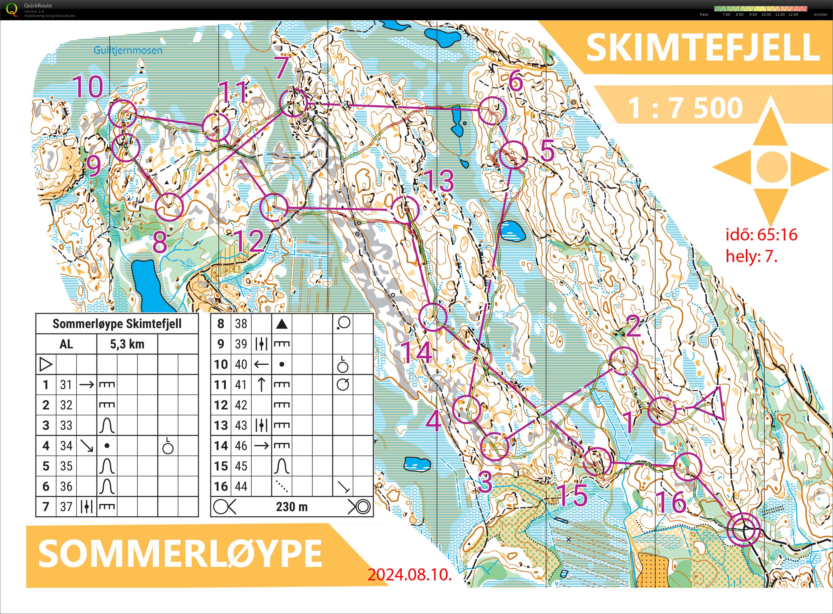 Sommertrening (10/08/2024)